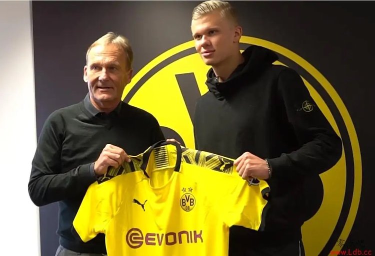 伦的组合在 伦的组合在